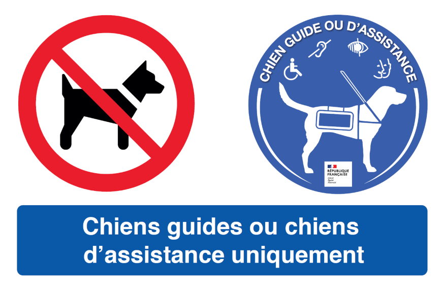 Vitrophanie Chiens Guides ou Chiens d'Assistance uniquement